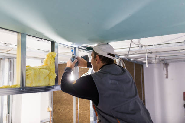 Best Insulation Inspection Services  in USA